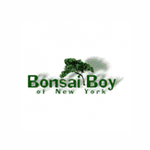 Bonsai Boy Of New York Logo